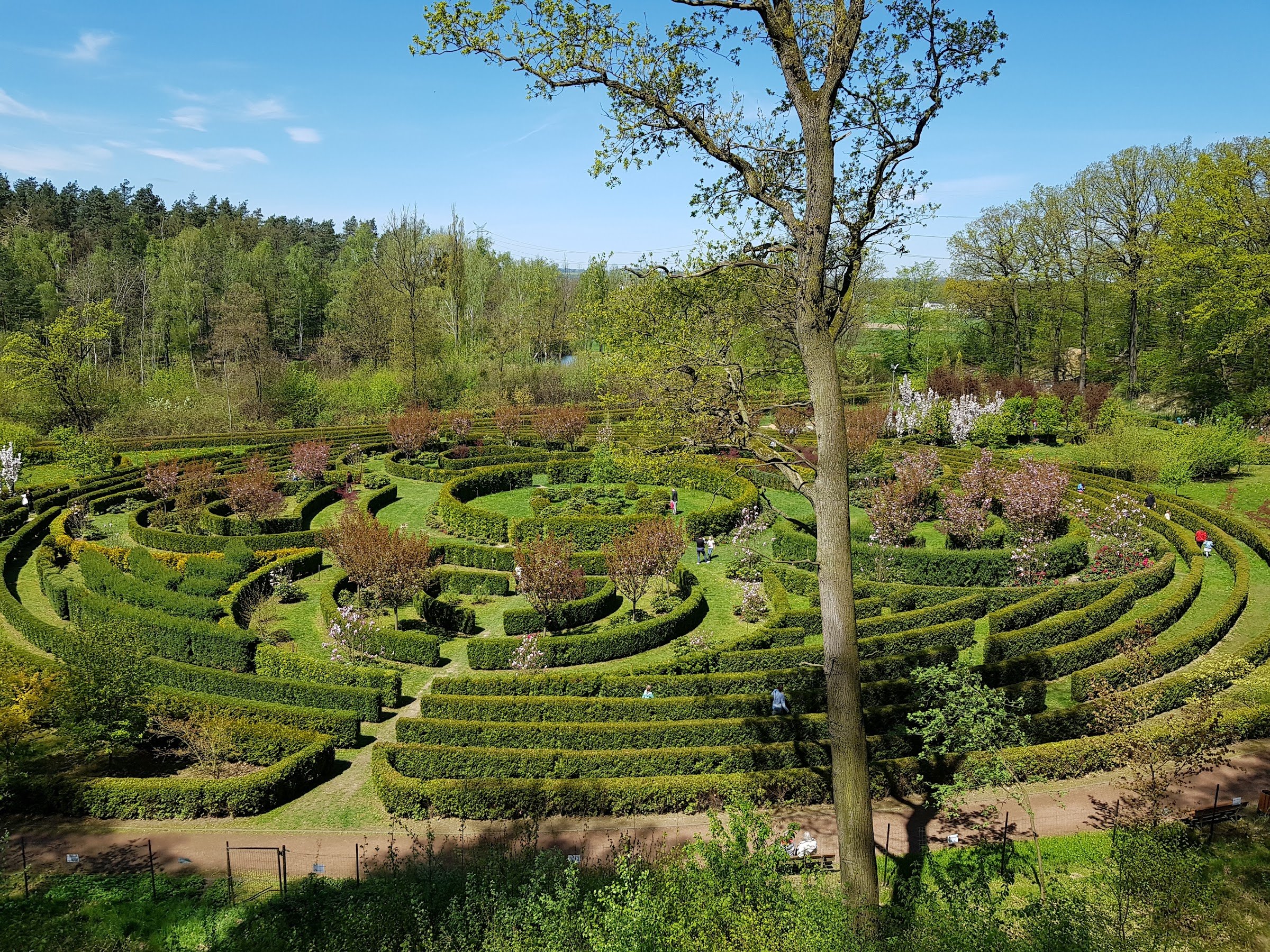 Moravian Gate Arboretum